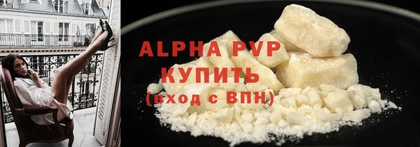ECSTASY Инта