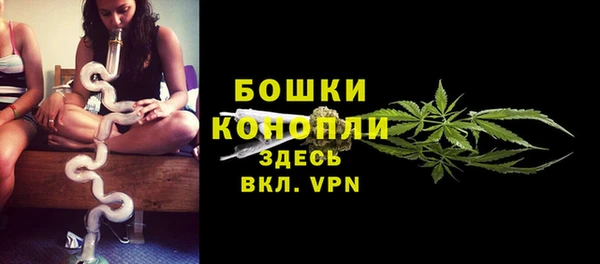 spice Инсар