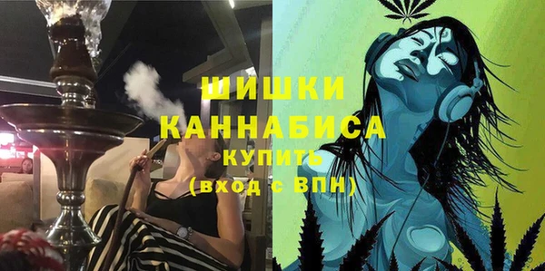 spice Инсар