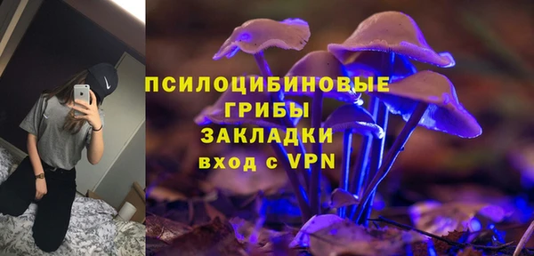 ECSTASY Инта