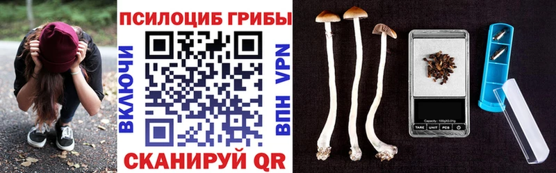 закладки Ивангород Галлюциногенные грибы мухоморы